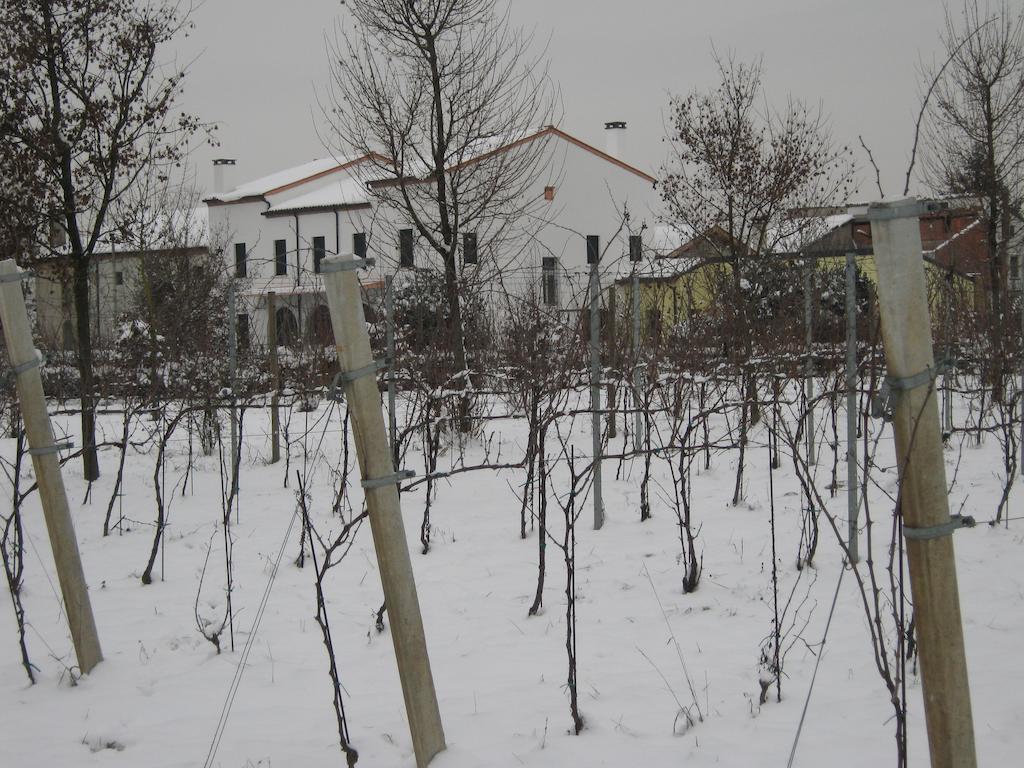 Gaudio *