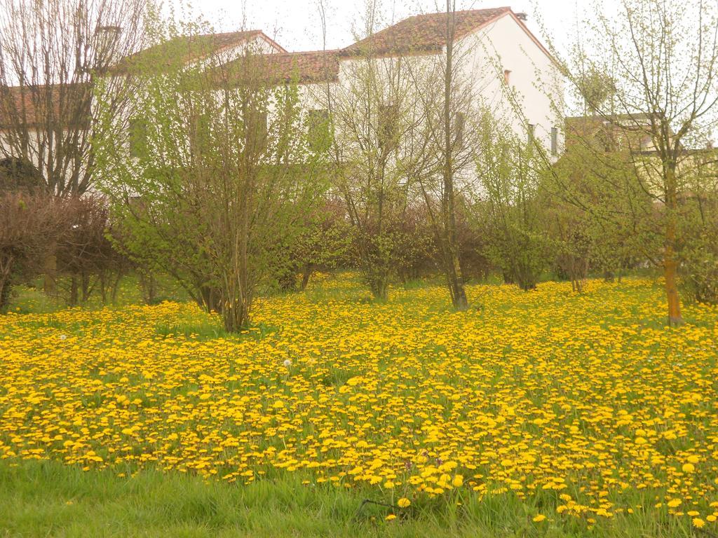 Casa vacanze Gaudio Ponte San Nicolò