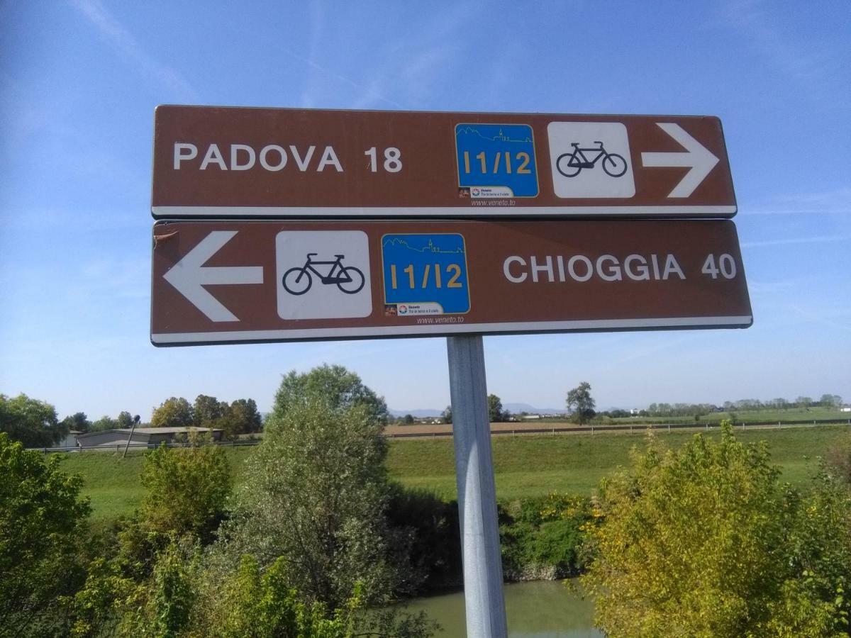 Gaudio