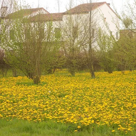 Villa Gaudio Ponte San Nicolò Esterno foto